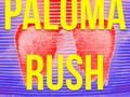 Paloma Rush - Roller Skates