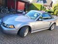 new car