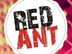 RedAnt Band