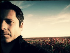 Gergely Paradi